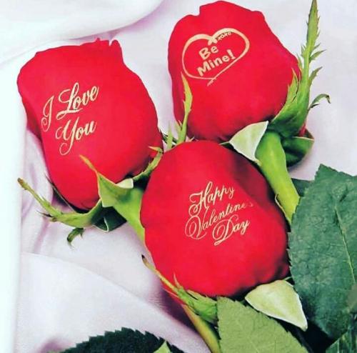 Photos by Artist Shoppie